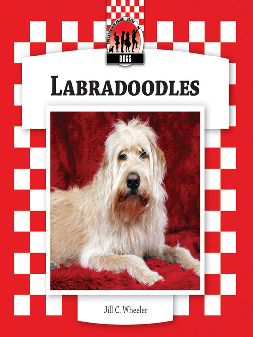 Cover image for Labradoodles